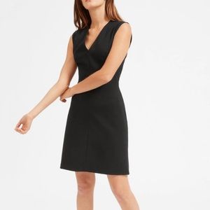 Everlane V- neck Flare Mini Dress